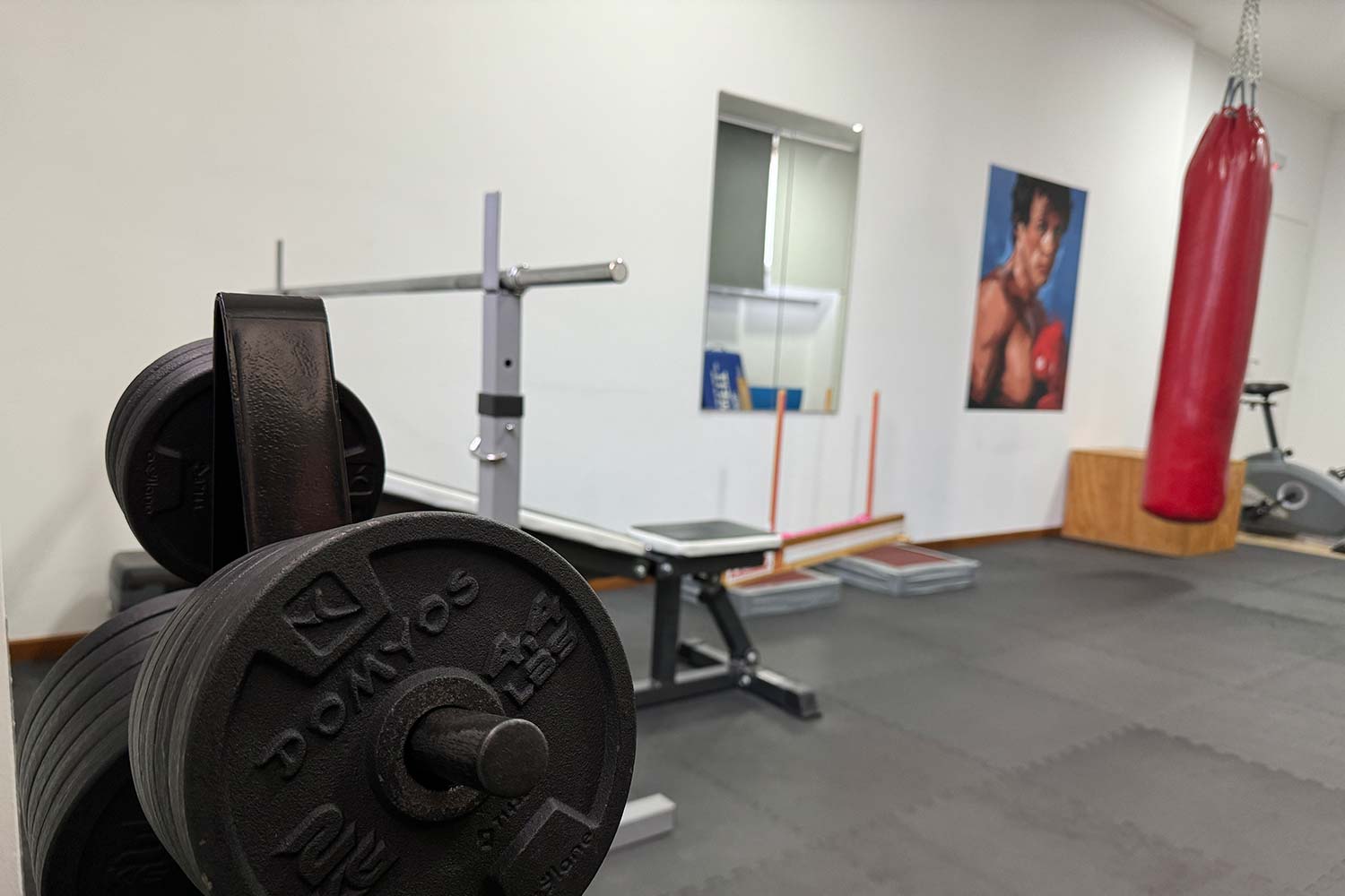 Palestra Legnano allenamento funzionale